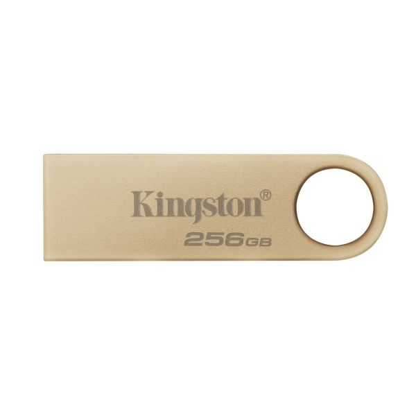 Флешка Kingston 256 GB DataTraveler SE9 DTSE9G3/256GB