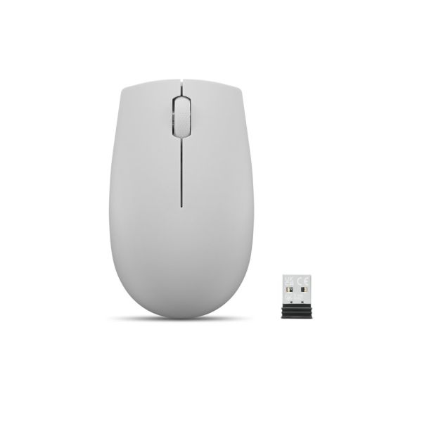 Мышка компьютерная Lenovo 300 Wireless Mouse Cloud Gray (195892080718) 