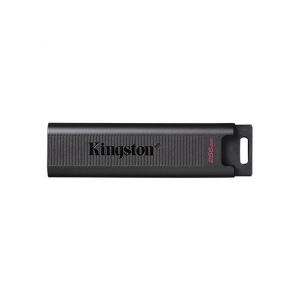 Флешка Kingston 256 GB DataTraveler Max USB 3.2 Gen 2 (DTMAX/256GB)
